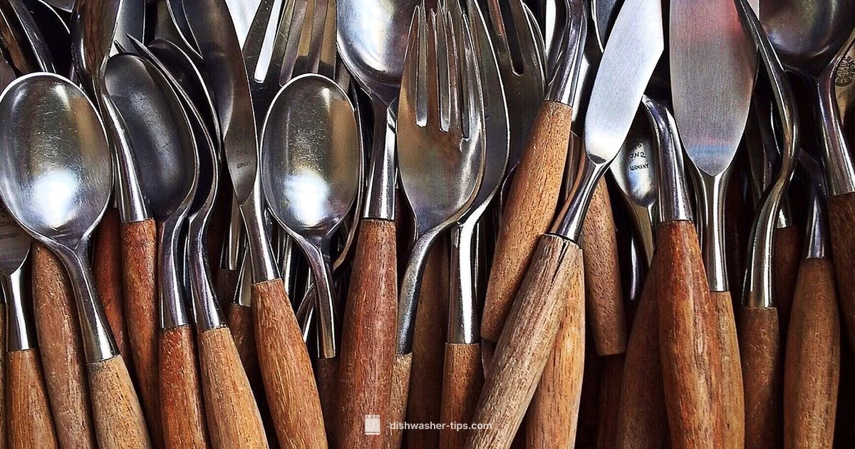 History of Dishwashers - Dishwasher Tips