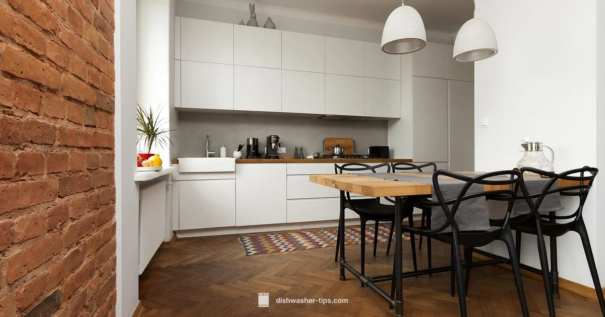 Non Toxic Detergent - Dishwasher Tips