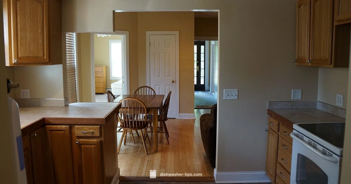 Rinse Aid Substitutes - Dishwasher Tips