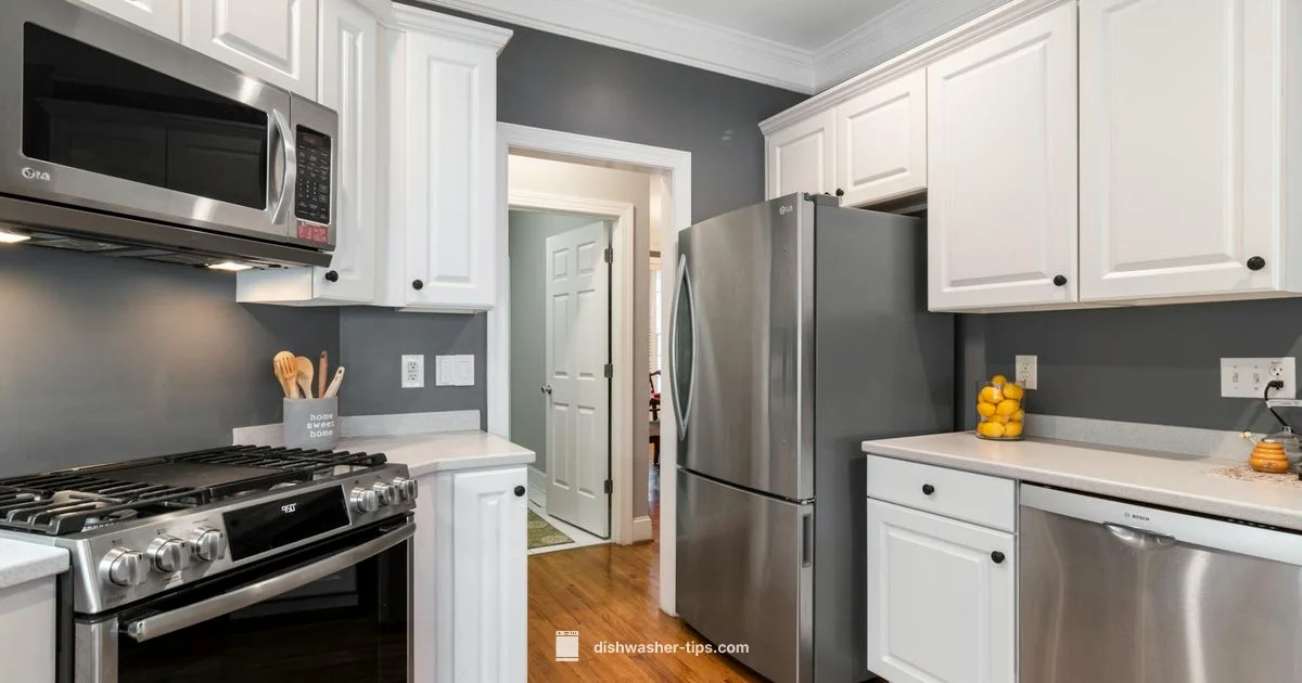 Dishwasher & Sink Combo - Dishwasher Tips