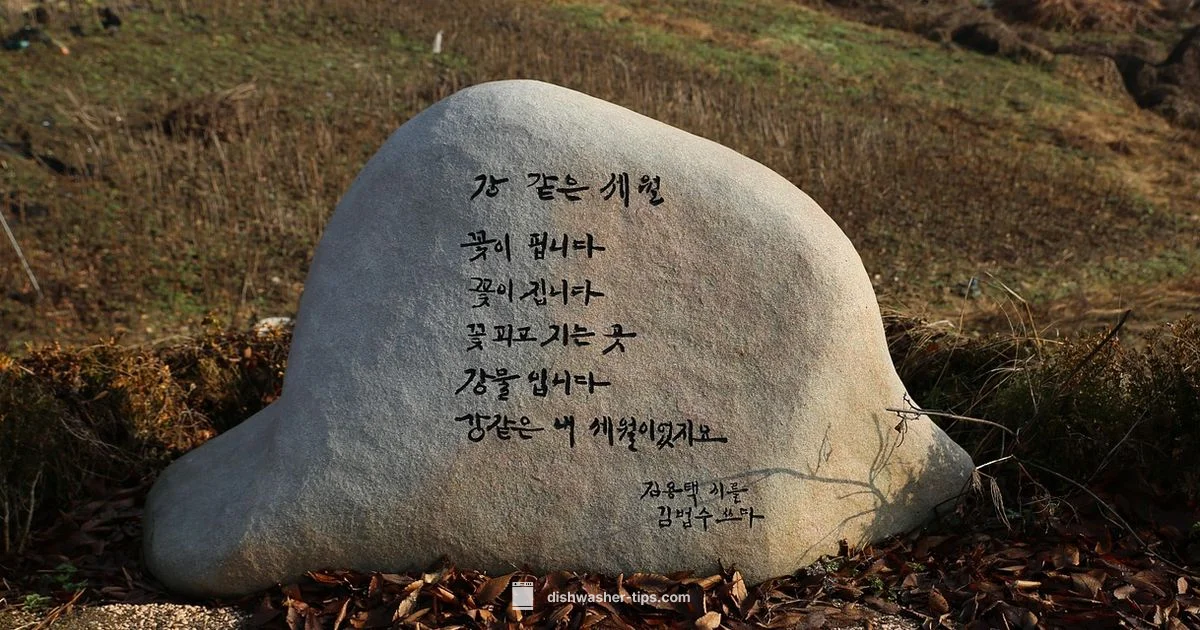 Zeolite Drying Tech - Dishwasher Tips