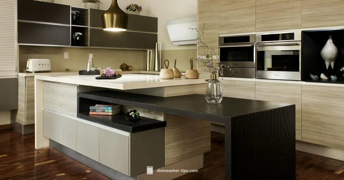 Drawer Style Dishwasher - Dishwasher Tips