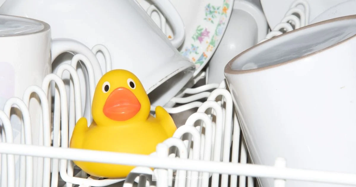 FTD Error Guide - Dishwasher Tips