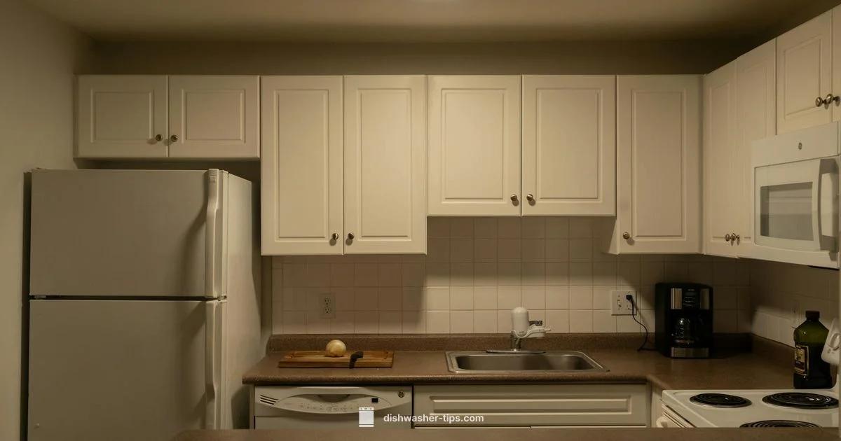 Best Dishwasher Guide - Dishwasher Tips