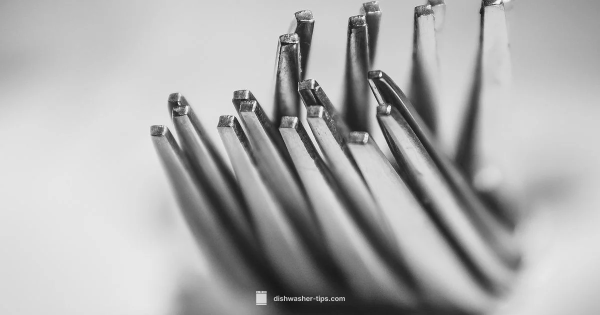 Dishwasher Rinse Guide - Dishwasher Tips