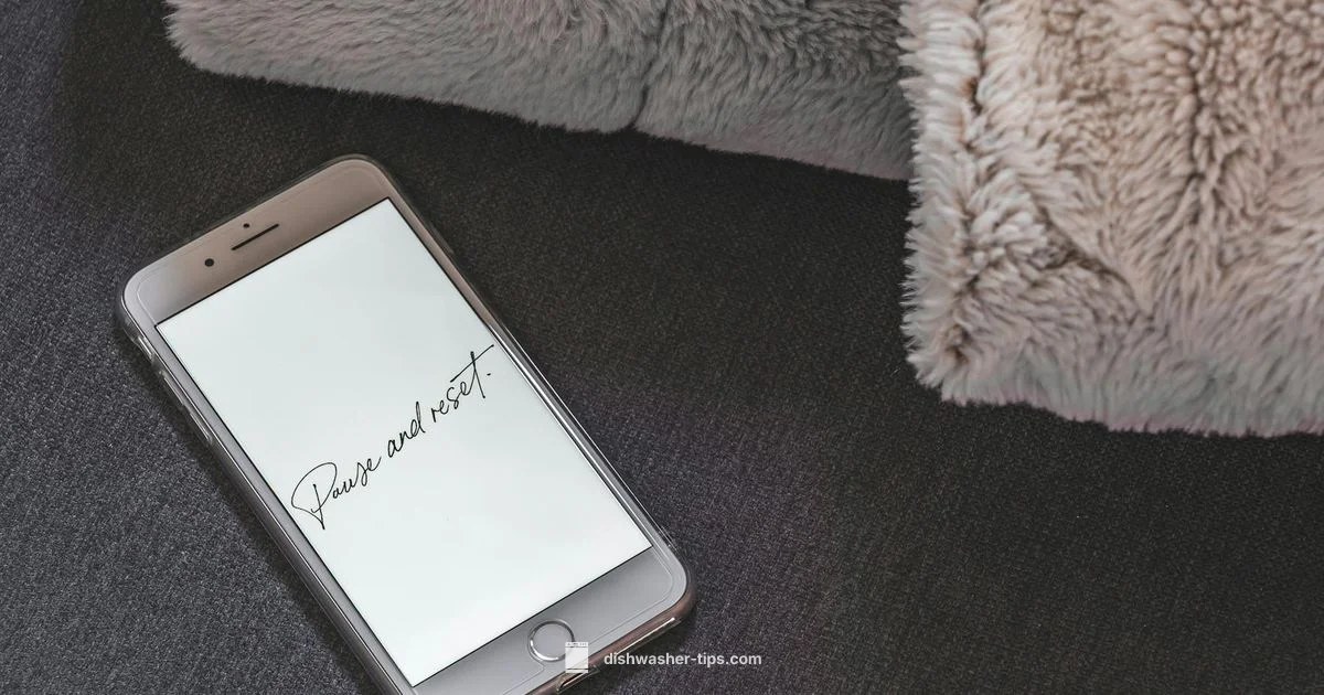 Reset Guide - Dishwasher Tips