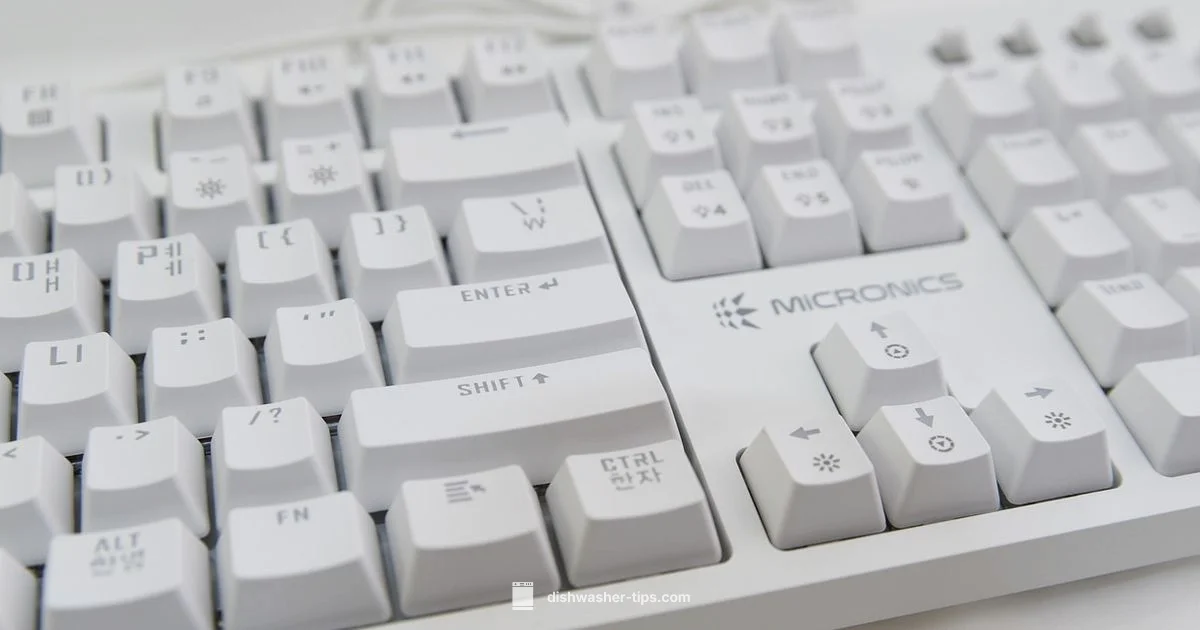 Keyboard Dishwasher Risk Keyboard Dishwasher Risk - Dishwasher Tips