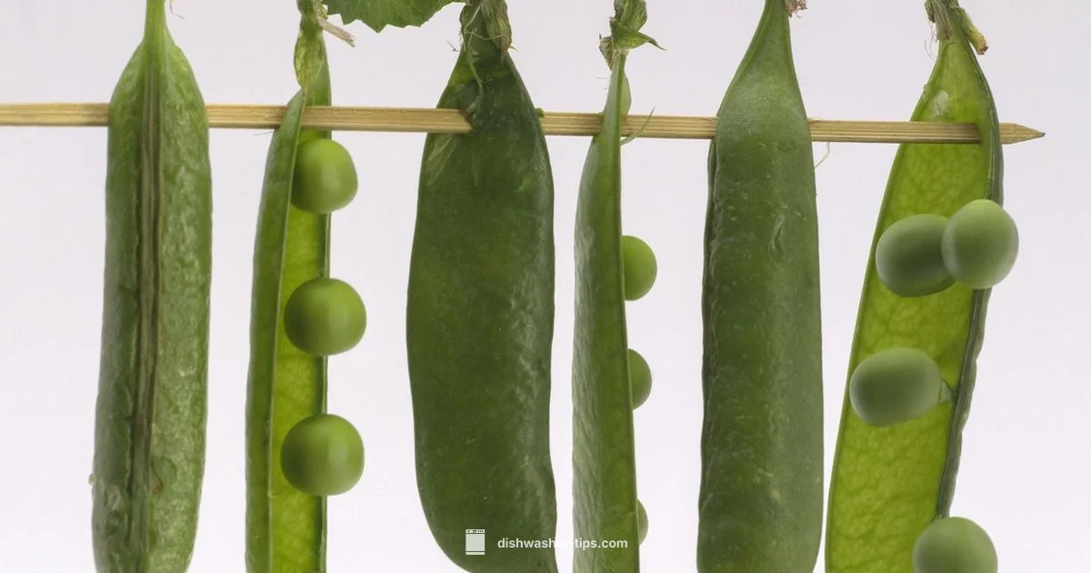 Pods & Microplastics - Dishwasher Tips