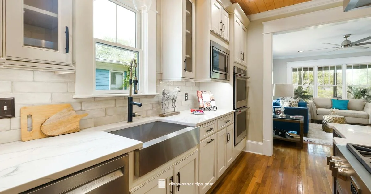 Rust in Dishwashers - Dishwasher Tips