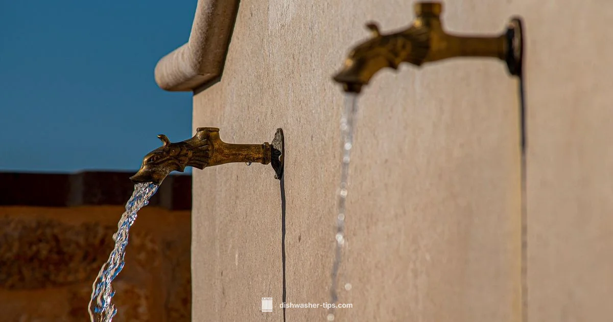 Dishwasher Care Essentials - Dishwasher Tips