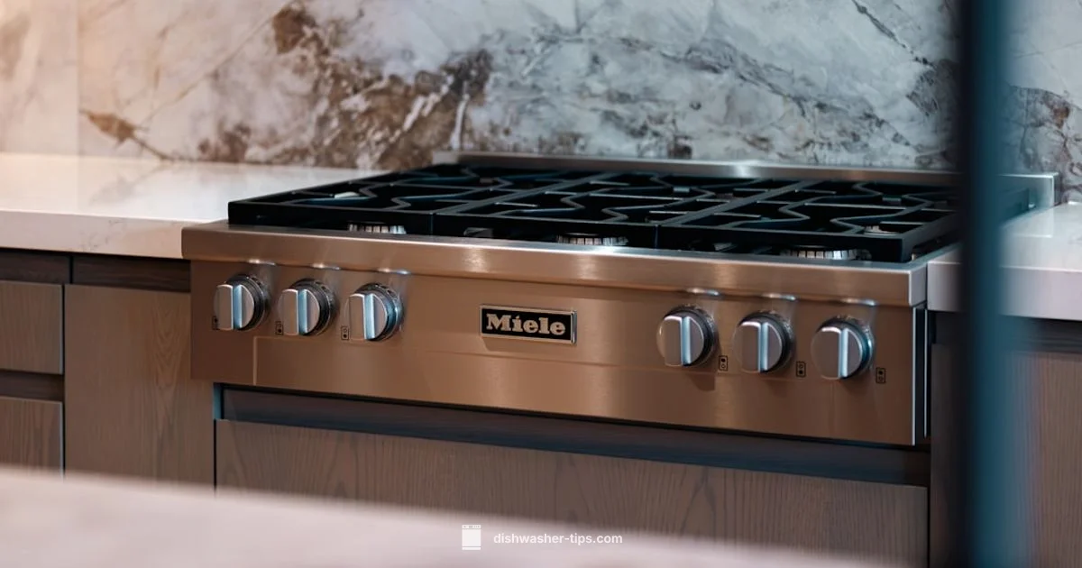 Standing Water Fix - Dishwasher Tips