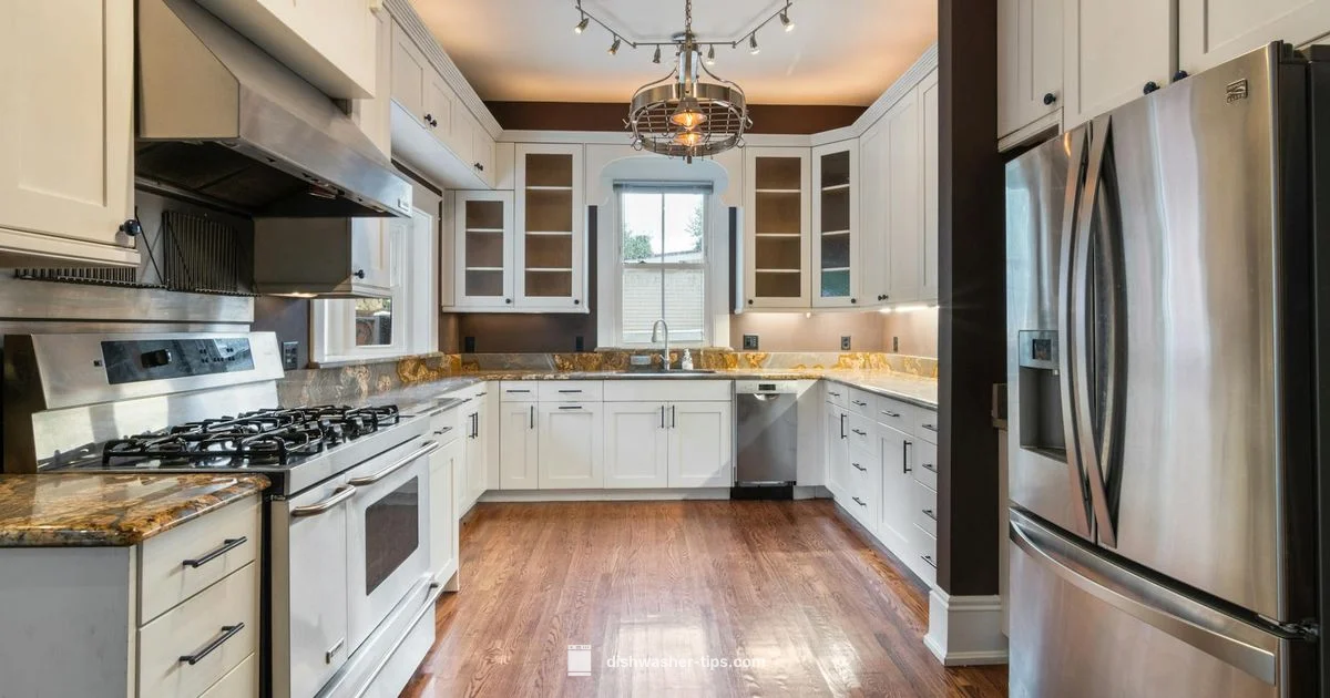 Stainless Steel in Dishwashers - Dishwasher Tips