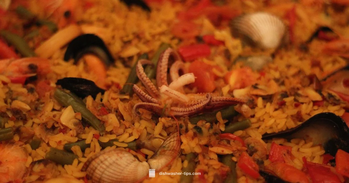 Spanish Dishwasher - Dishwasher Tips