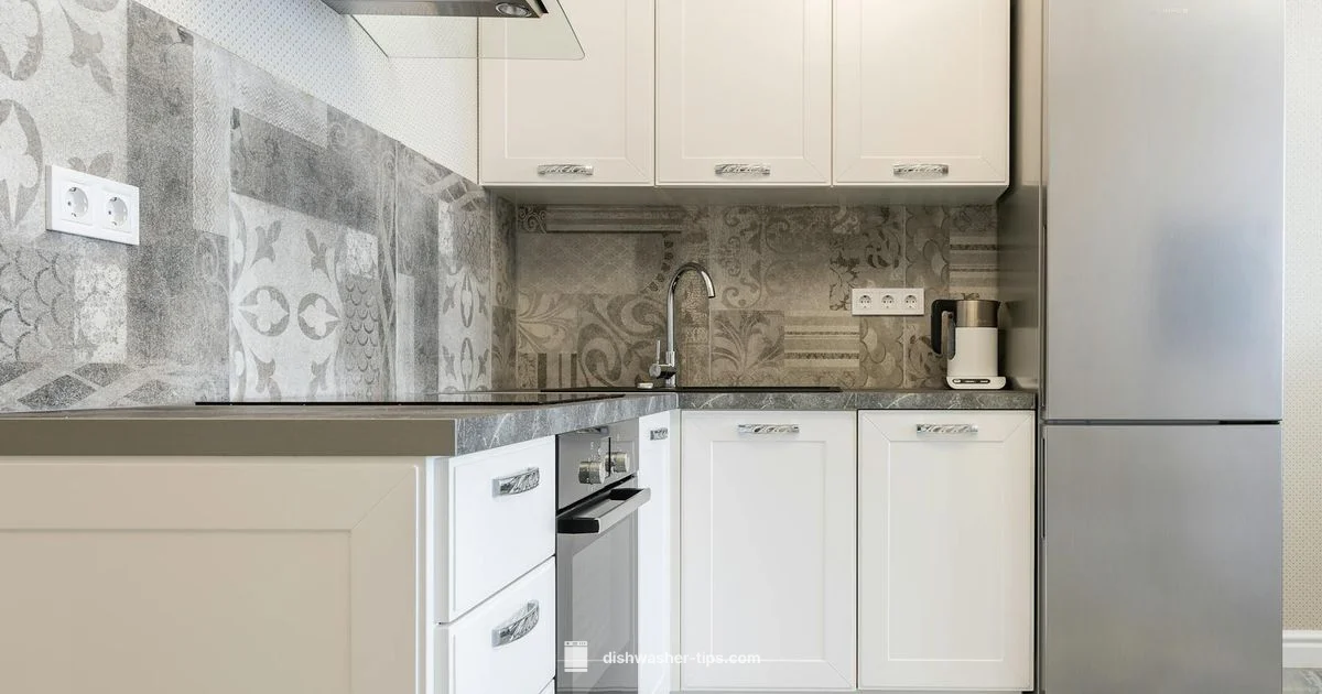 Single Drawer Dishwasher - Dishwasher Tips