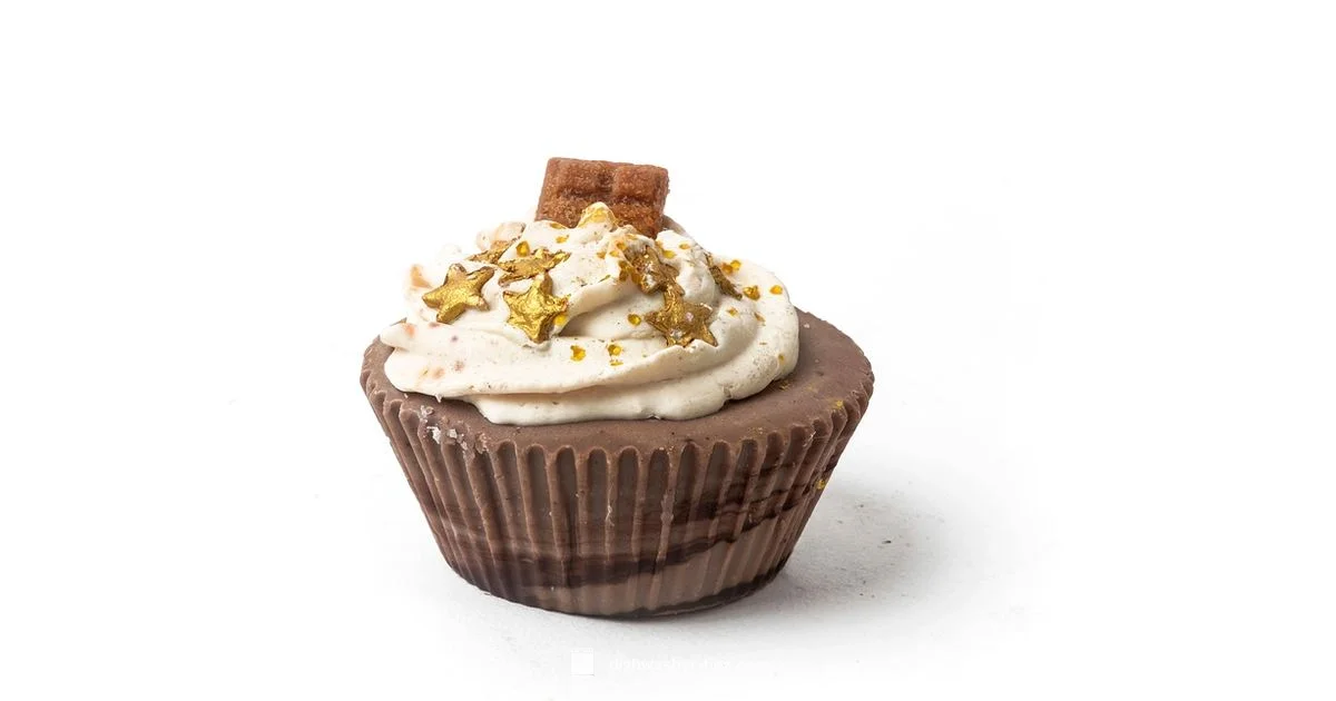 DIY Dishwasher Soap - Dishwasher Tips