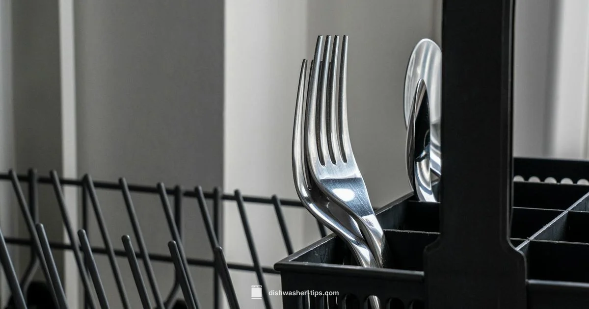 Filter Location - Dishwasher Tips