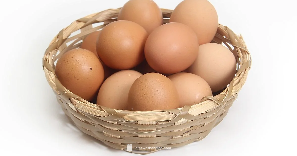 Replacement Basket - Dishwasher Tips