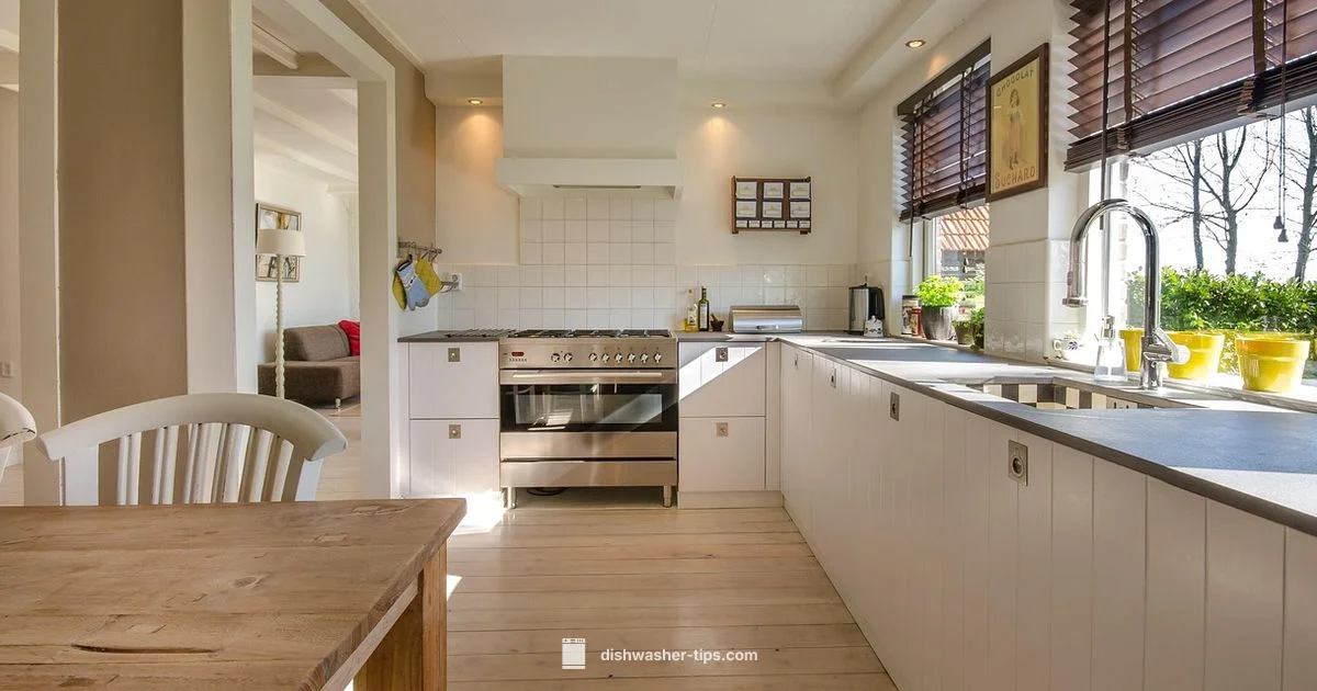 Get a Dishwasher - Dishwasher Tips