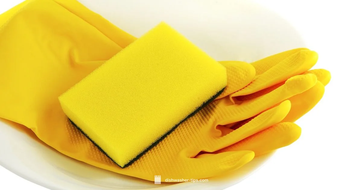 Dishwasher Care Tips - Dishwasher Tips